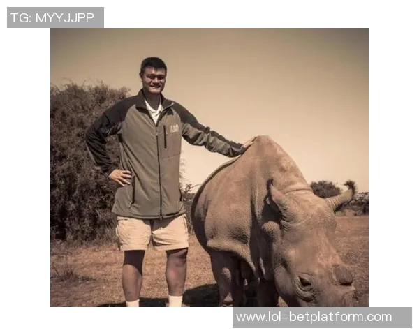 姚明与克莱的篮球传奇：从巅峰对决到友谊的传承与启示